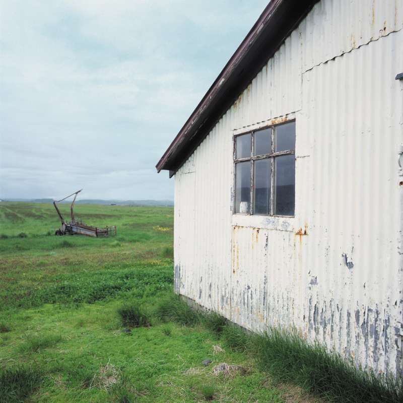 Pest-Proofing and Structural Hardening